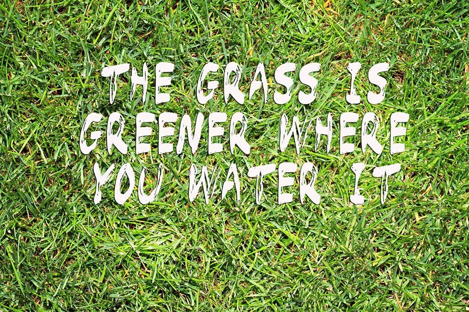 The Grass is Greener Where You Water It